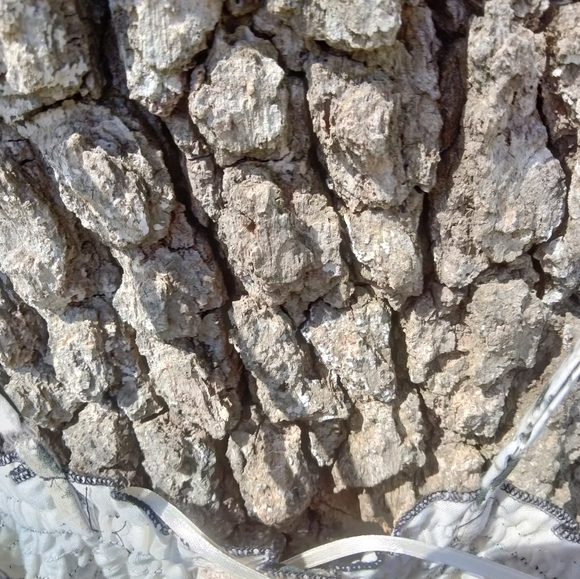 ⬇️ Price Drop!⬇️ Daytrip Sundress in size M - Picture 4 of 4